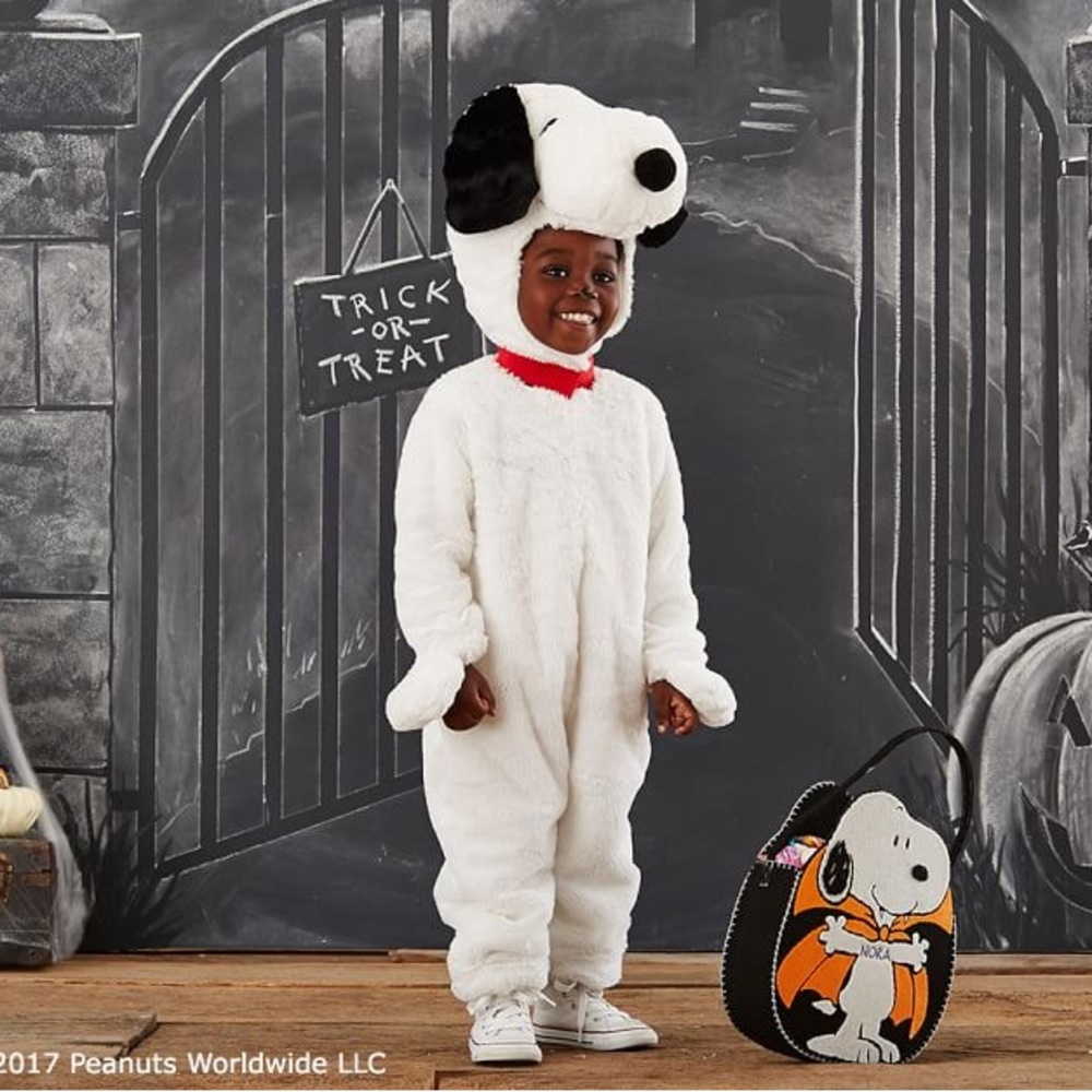 Pottery Barn Kids Peanuts Snoopy Halloween Costume 3T